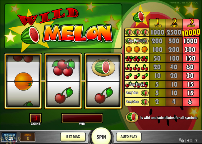 wild melon screenshot